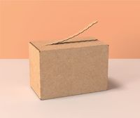 Cajas de Envío de Cartón Corrugado con Cierre, Diseño Personalizado de Lujo, Impresión a Todo Color, Materiales Reciclados, Tira Desprendible