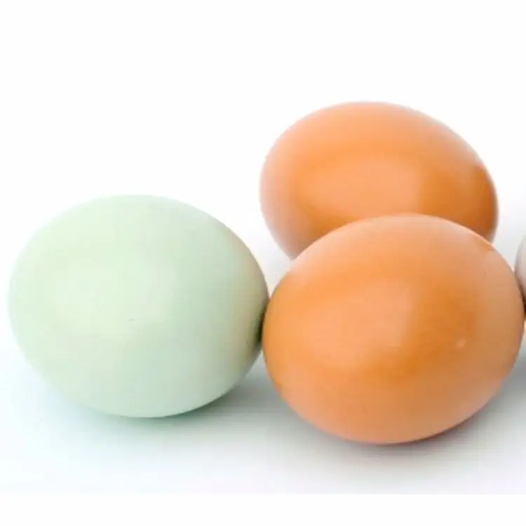 HEBEIER売れ筋3色天然木絵画シミュレーション卵DIYアートクラフト用品子供向けおもちゃ
