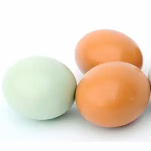 Grosir egg toys-HEBEIER Mainan Simulasi Lukisan Kayu 3 Warna, Perlengkapan Kerajinan Seni DIY Telur Simulasi Lukisan Kayu Alami untuk Anak-anak