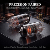Tube de préampli à double triode 12AX7 à 9 broches, remplacement pour 6N4, pour préampli HiFi et amplificateur à tubes de guitare, paire assortie disponible