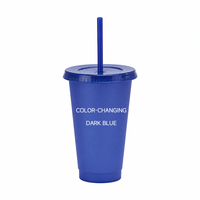 Gobelet tendance à changement de couleur bleu clair activé par le froid avec couvercle et paille, bouteille d'eau personnalisable vierge en gros