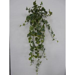 EDERA CAD X244 110CM VR - Product Image 1
