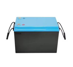 24V 120ah 150ah 200ah 300ah Lifepo4 Lithium Batterij Diepe Cyclus Voor Motor <span class=keywords><strong>3</strong></span>-wielers Golfkarretjes Boten Agv Experimentele Apparatuur - Product Image 4