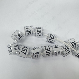 Toq Chất lượng nhôm Pigeon nhẫn với tùy chỉnh đầy màu sắc tên điện thoại số Serial Racing Vòng - Product Image 1