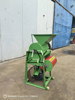 Machine à décortiquer les cacahuètes automatique Lung Yeuk Mini pour usage domestique, moteur diesel/essence, haute efficacité 150 kg/h