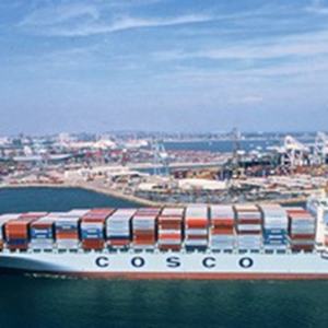 Agente de Envío Marítimo de China a Estados Unidos, FCL/LCL 20GP 40HQ, Entrega FOB, Logística a Estados Unidos desde el Puerto de Nansha Sz,gz, Puerta a Puerta, DDP/DDU - Product Image 5