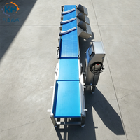 Máquina Clasificadora de Pescado Industrial con Cinta Transportadora, Clasificador de Peso para Productos Acuáticos, Acero Inoxidable, Grados Personalizables