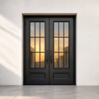 Porte d'entrée double en fer forgé de couleur personnalisée, anti-effraction, isolée thermiquement, étanche, pour villa américaine