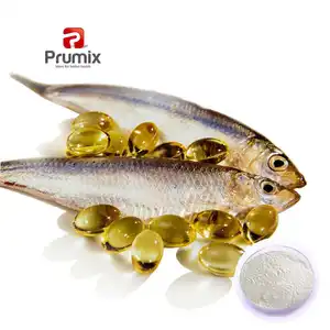High Quality Raw Material Wholesale Omega3 Powder Fish Oil 10%CWS DHA Powder Food Ingredients