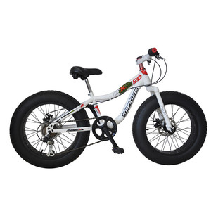 Richbit — mini vélo de montagne 24, 26, <span class=keywords><strong>29</strong></span> <span class=keywords><strong>pouces</strong></span>, pneus larges, conteneur européen - Product Image 5