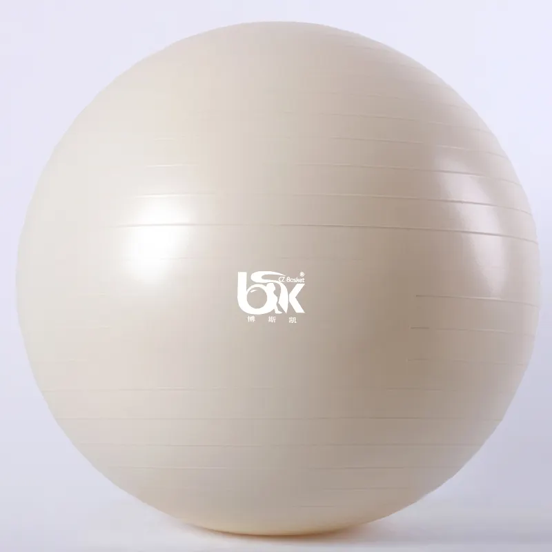 65cm lino esercizio Ball Cover Balance Ball Protector + 65cm Yoga Ball con pompa per Home Gym Yoga Pilates Fitness Body Building