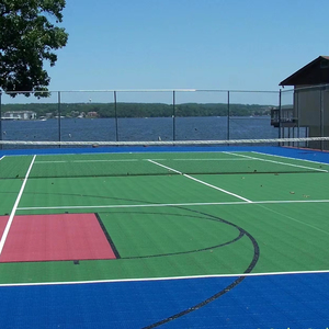 Patio trasero al aire libre cancha multideportiva con cancha de baloncesto pintada y cancha de pickleball líneas de dimensión baldosas - Product Image 6