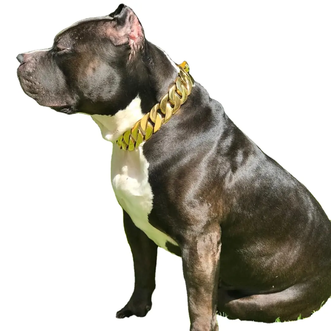 पालतू कुत्ते के उत्पादों 2022 कस्टम गुणवत्ता डिजाइनर सोने स्टेनलेस स्टील क्यूबा श्रृंखला कुत्ते कॉलर और पट्टा सेट
