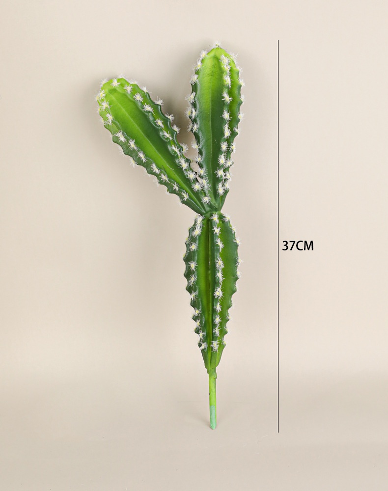 37 cm
