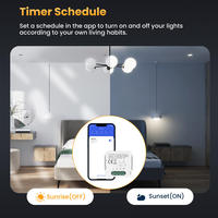 Interruptor Inteligente WiFi con Control Multicanal para la Aplicación Tuya Smart Life, Módulo de Interruptor de Luz para Hogar Inteligente