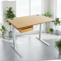 Plateau de bureau électrique Ecomax en bambou, réglable en hauteur, pour assis-debout, mobilier de bureau, usine