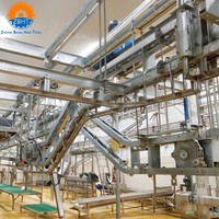 Equipo de Sacrificio de Ovejas y Maquinaria para Mataderos, Línea de Sacrificio de Cabras, Proyecto Llave en Mano, Solución para Procesamiento de Carne Halal