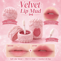OEM ODM Gloss à lèvres minéral velours mat, longue tenue, haute pigmentation, waterproof, végan, motif gâteau fraise cœur rose mignon