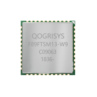 Module WiFi 4 150 Mbps 2,4 GHz 802.11b/g/n 1T1R SDIO 3.0 Realtek RTL8189FTV basse consommation pour STB, caméra IP, IoT
