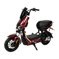 Vélos électriques pour adultes, vélos électriques et trottinettes électriques : des modèles populaires et personnalisables