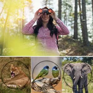 Jumelles 8x40 Porro Bak7 40mm Grand Oculaire pour les Amateurs de Plein Air Photographes Safari Exploration - Product Image 6