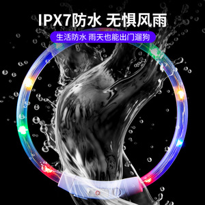 Collier lumineux pour chien, étanche, rechargeable par USB, coloré, personnalisable. - Product Image 2