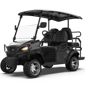 Brand New Golf Carts Manufacturers Dsic Brake Advanced Hunting Buggy Manual Upgrades Beach Electric Golf Carts