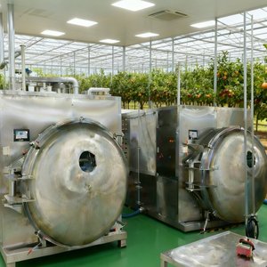 Industrial Scale 200kg Freeze Drying Machine for Seafood Protein Processing - Product Image 2