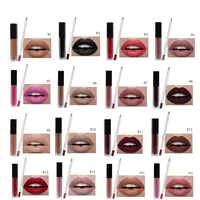 Waterdichte Private Label Cosmetica Groothandel Matte Vloeibare Lipstick Met Lip Liner Kit