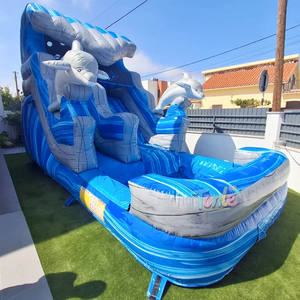 Tobogán Inflable de Grado Comercial, Parque Infantil al Aire Libre para Niños, Grandes Toboganes de Agua, Castillos Inflables, Tobogán Acuático - Product Image 4