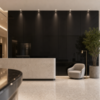 Verre trempé laqué noir jais 4mm 5mm 6mm 8mm 10mm CE SGCC pour crédence de cuisine, porte de placard, sur mesure