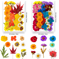 Fleurs pressées pour la résine, vraies feuilles de fleurs séchées pour la fabrication de bijoux en résine, fleurs séchées pour le scrapbooking, artisanat, bricolage, savons, bougies