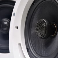 Système de sonorisation PA haute fidélité Thinuna GS-8CT 30w, haut-parleur coaxial de plafond, système de haut-parleurs commerciaux pour festival