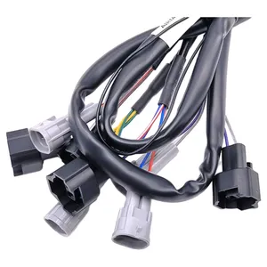 Customized Cable Car Auto Universal Car Audio Stereo Radio Player Wire Harness Automobile Wiring Harness Plug Manufacturer