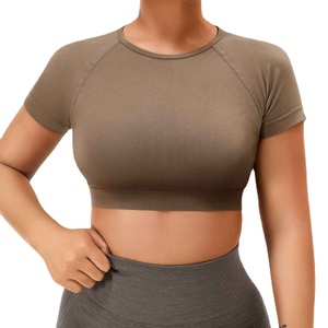 Top Corto Deportivo Elástico sin Costuras para Mujer, Camiseta Deportiva para Gimnasio, Yoga, Camiseta Atlética para Salir a Hacer Ejercicio - Product Image 2