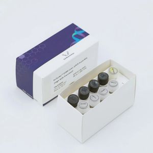 EQ041 50rxn Buffer di Carico <span class=keywords><strong>DNA</strong></span> per la Ricerca - Product Image 1