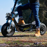 Trottinettes Électriques Pliables OEM pour Adultes, Puissantes, 3000W 2000W, Type Citycoco, pour Fabricants