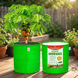 Sacs de culture réutilisables en HDPE Casa De Amor 24x24 pouces pour grandes plantes, fruits/fleurs (260 GSM) – Conteneur vert pour plantes - Product Image 3