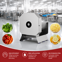 Elektrische fruit- en groentesnijder, -schaafmachine, 304 roestvrij staal, 200 kg/u, industriële commerciële snijmachine voor fabrieksgebruik