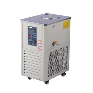 DLSB 5L Low Temperature Cryogenic Cooling Liquid Circulating Pump with Rotary Evaporator Water Circulating Vacuum Pump