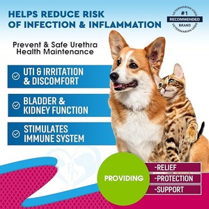 USMILE OEM ODM tetes kucing Uti pengobatan infeksi saluran urin perawatan Cranberry ekstrak cairan suplemen untuk kucing & anjing - Product Image 2