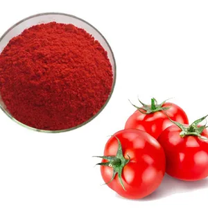 Extrait de poudre de pâte de tomate botnaical poudre de jus poudre de tomate déshydratée
