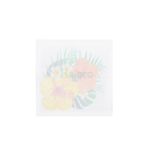 Haierc Piège à colle pour mouches des fruits - Product Image 5