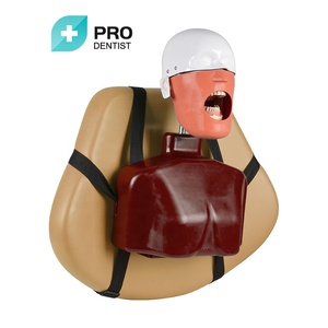 Advanced Phantom Head / <strong>Dental</strong> teaching <strong>simulator</strong> <strong>unit</strong>/oral teaching models - Product Image 5
