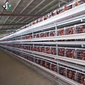 Leichte Stahl konstruktion schlüssel fertiges Projekt Broiler Schicht Geflügelfarm Schuppen Design