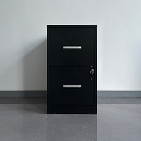Organiseur de dossiers vertical, armoire à 2 tiroirs avec serrure à clé, design compact et gain de place, utilisation au bureau, usage commercial