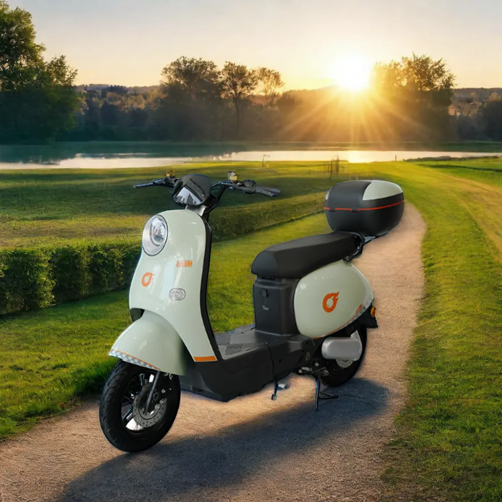 Vendita di fabbrica consegna merci Listrik bici moto moto elettriche Elektro Skuter elettrico bici grasso pneumatico e-Bike per adulti