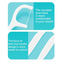 Cure-dents jetables biodégradables avec logo personnalisé, vente en gros directe usine, pour soins bucco-dentaires