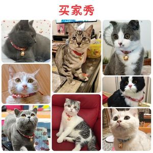 Collares ajustables de estilo japonés para perros y gatos con cascabeles - fabricante de accesorios para mascotas. - Product Image 3