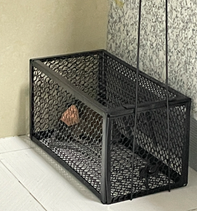 Humane Live Catch Rat Trap Cage, PVC Coated Single <b>Door</b> Metal Mouse Trap with Built-in Bait Tray - Product Image 4